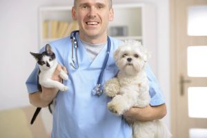 Questions and answers about becoming a vet